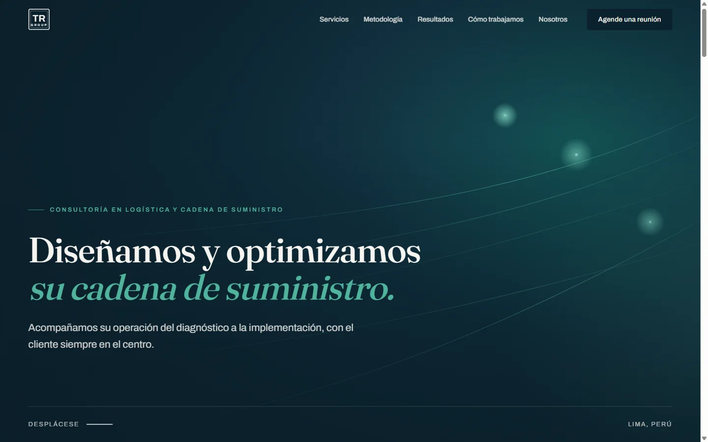 TR Group consulting homepage